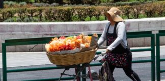 En México 22 millones de mujeres están excluidas del sistema laboral.