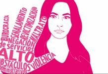 A 19 años de la promulgación de la Ley General de Acceso de las Mujeres a una Vida Libre de Violencia.