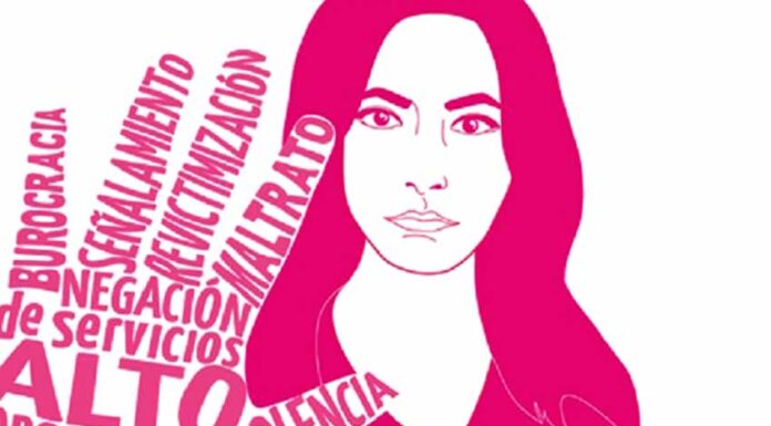 A 19 años de la promulgación de la Ley General de Acceso de las Mujeres a una Vida Libre de Violencia.