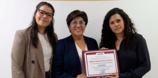 Concede la Cámara de Diputados licencia a Rosa Hernández Espejo.