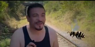 #Video: ex diputado Gómez Cazarín lanza su primer video musical “abejita chiquitita”