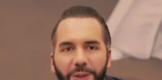 No hay Estado que no pueda eliminar la delincuencia, explica Bukele