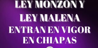 Ley Monzón y ley Malena entran en Vigor en Chiapas informan feministas