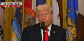 Trump desmantela Departamento de Educación de EE.UU.