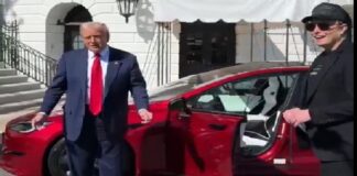 Tras la debacle de Tesla Trump compra un auto para interceder por Musk