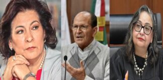 Alejandro Solalinde agrede a la recién fallecida Isabel Wallace y amenaza a Norma Piña.