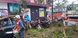Atiende PC Municipal afectaciones por lluvias en Xalapa.