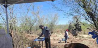 El Estado debe investigar el hallazgo de fosas clandestinas en los estados de Jalisco y Tamaulipas: Amnistía Internacional.