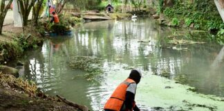 #Xalapa: Realiza Ayuntamiento limpieza en el Parque de la Señoría