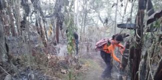 Recuerdan a la ciudadanía que quemas agropecuarias están prohibidas #Veracruz