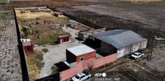 El horror en México: que se sabe de los campos de exterminio del CJNG.