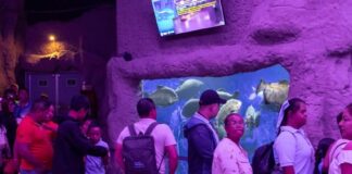 Aquarium de Veracruz abrirá en horario extendido del 12 al 27 de abril.