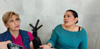 Animalistas piden ampliar campañas gratuitas de esterilización en Xalapa.