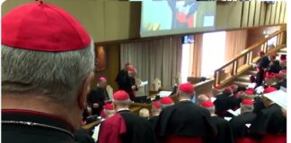 Colegio de Cardenales posponen las beatificaciones previstas