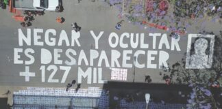 La simulación de la búsqueda, el caballo de Troya del Gobierno .