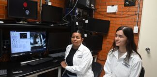 Monos identifican imágenes a partir de palabras, descubren científicos de la UNAM.