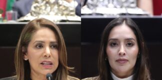 Busca iniciativa sancionar hasta con siete años de prisión a quien abandone animales domésticos en vías públicas.