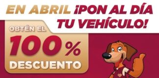Amplía Veracruz subsidios del 100 % en verificación vehicular hasta junio.