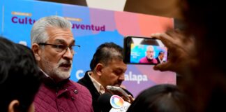 #Xalapa: Atiende PC Municipal desgajamiento parcial de árbol en parque Juárez.