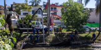 #Xalapa: Continúan trabajos de limpieza en lagos de Las Ánimas.