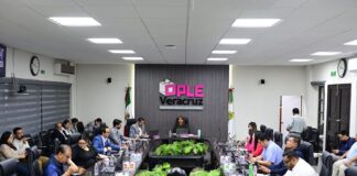 OPLE Veracruz aprueba las fórmulas de candidaturas al cargo de ediles en ayuntamientos del Proceso Electoral Local Ordinario 2024-2025.