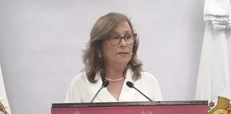 Homicidio de líder agrario por posible disputa de terrenos; asesino identificado: Rocío Nahle.