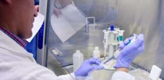 Confirma SSA primer caso de gripe aviar en México en una niña de tres años.