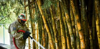 #Xalapa: Controla PC Municipal incendio en zona de Los Lagos