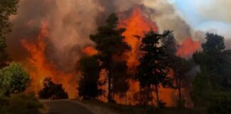 Israel enfrenta enormes incendios alrededor de Jerusalén. Buscan ayuda extranjera