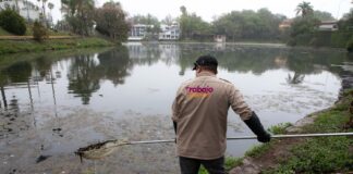 #Xalapa: Continúan trabajos de limpieza en los lagos de Las Ánimas .
