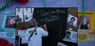 Una buscadora es asesinada cada 6 meses. El patrón delictivo contra ellas.