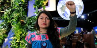 ARTICLE 19 condena violencia contra periodista comunitaria de Cholollan Radio.