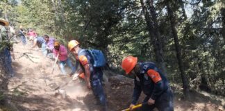 #Veracruz. 600 brigadistas combaten fuego en el Cofre de Perote.