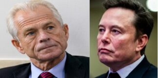 Musk escala enfrentamiento con asesor de Trump pro aranceles al llamarlo “auténtico imbécil”
