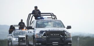 Ayuntamiento de Emiliano Zapata ratificó denuncia en contra de sujetos que arrojaron restos de caninos en carretera.