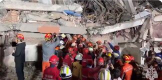 Han rescatado a más de 650 personas bajo los escombros del terromoto.