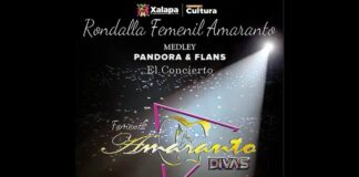 Disfruta de la agenda cultural de Xalapa .