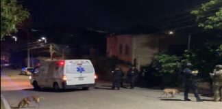 #Veracruz: Identifican a joven embarazada fallecida en un tiroteo en Sayula de Alemán.