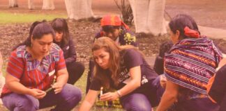 10 mil agresiones contra defensoras de la tierra y el territorio en Mesoamérica desde 2012.