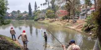 #Xalapa: Limpieza en lagos de Las Ánimas es permanente