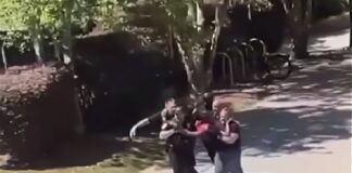 Tiroteo en Universidad Estatal de Florida dejó dos muertos.