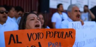 “El privilegio tiene miedo al voto”