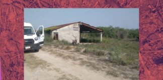 Buscadoras denuncian campo de exterminio en Tamaulipas: «Hay restos por toda el área», suman 21 hallazgos pendientes por desmantelar