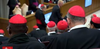 Los cardenales en reflexión perfilan la figura de un Papa pastor.