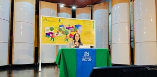 Cárteles, sin motivaciones políticas para clasificarse como terroristas: Carla Lewandoski