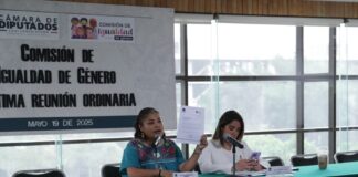 Ley «agresor sale de casa», avanza en Comisiones.