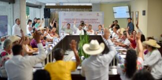 #Veracruz: Avanza propuesta de reforma al Artículo 5 constitucional