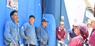 Xalapa está con Daniela Griego porque es mujer de resultados; la morenista lidera preferencias en encuestas