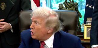 Donald Trump suspende visado a extranjeros para estudiar en Harvard.