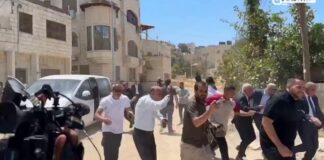 Ejército de Israel dispara a grupos de diplomáticos para amedrentarlos; México pedirá aclaración